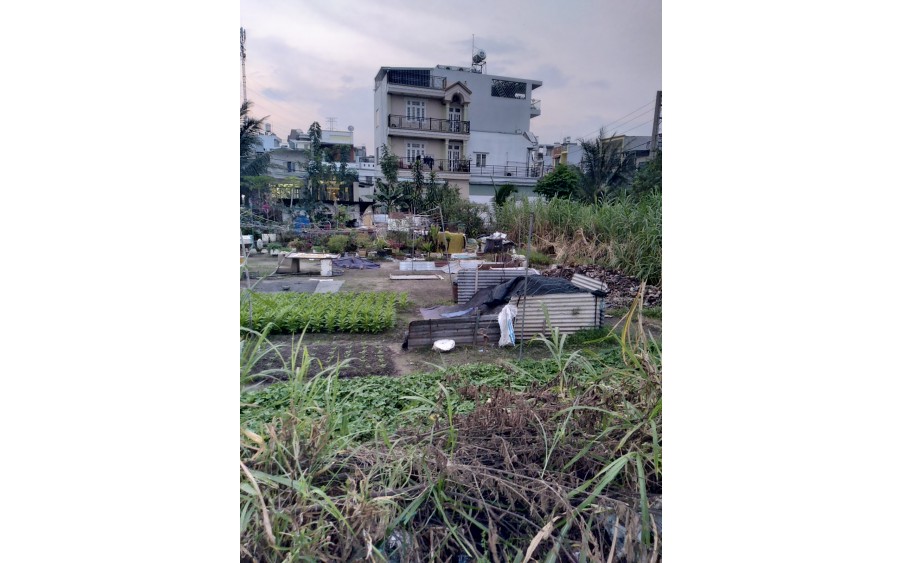 Bán 2250 m2 đất dân cư  Xã Bà Điểm, Huyện Hóc Môn, Thành phố Hồ Chí Minh
